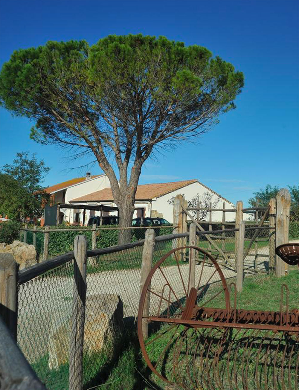 Farmhouse in Manciano